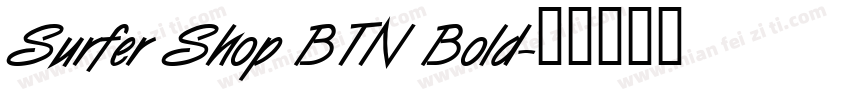 Surfer Shop BTN Bold字体转换